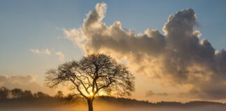 কল্পনায় থাকে বাস্তবে