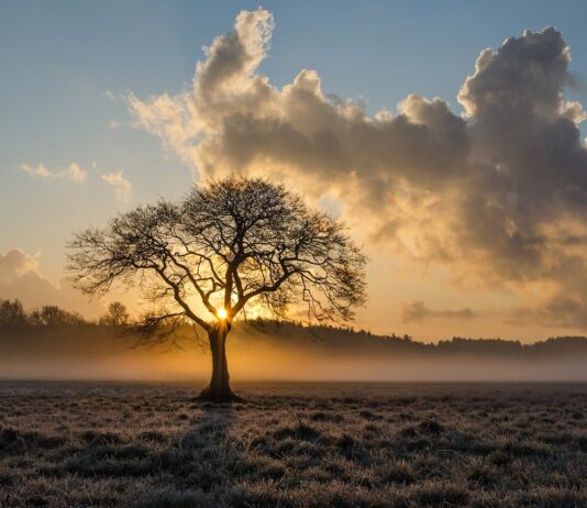 কল্পনায় থাকে বাস্তবে
